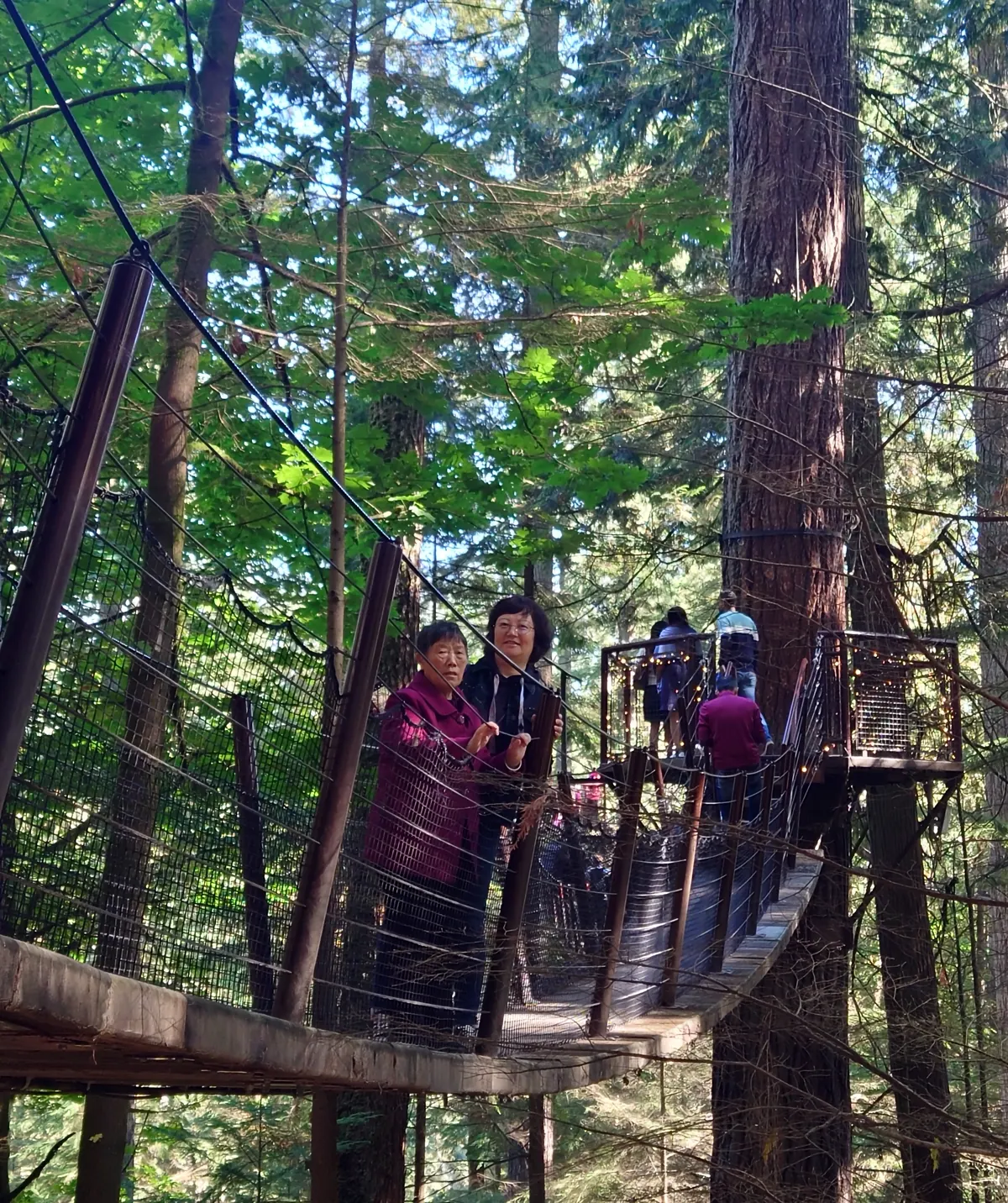 Two older family members visiting a forest canopy walkway in BC